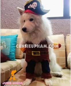 Junie House - Đồ siêu nhân, đồ cướp biển cho chó - Trang phục minions cho chó - vòng cổ dạ quang cho chó