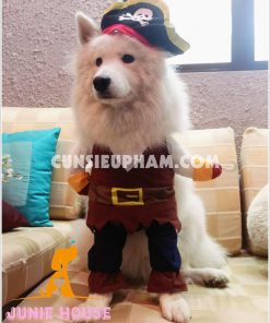 Junie House - Đồ siêu nhân, đồ cướp biển cho chó - Trang phục minions cho chó - vòng cổ dạ quang cho chó