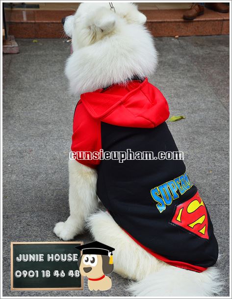Áo superman cho chó lớn - Balo cho chó mèo - quần áo khủng long cho chó mèo - quần áo tết cho chó mèo - trang phục siêu nhân Junie House - Trang phục hiệp sĩ cao bồi cho chó - Đồ Minions - Đồ cướp biển cho chó