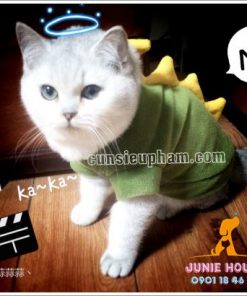 Quần áo khủng long cho chó mèo - quần áo tết cho chó mèo - trang phục siêu nhân Junie House - Trang phục hiệp sĩ cao bồi cho chó - Đồ Minions - Đồ cướp biển cho chó
