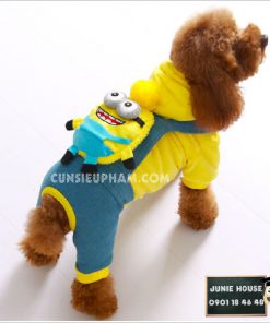 Junie House chuyên cung cấp trang phục cosplay cho chó mèo như áo Adidog có mũ, hiệp sĩ cao bồi, trang phục Superman, Cướp biển, áo minions có mũ cho chó... Hotline 0901 18 46 48