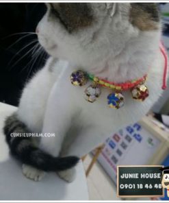 Junie House chuyên cung cấp trang phục cosplay cho chó mèo như áo Adidog có mũ, hiệp sĩ cao bồi, trang phục Superman, Cướp biển, vòng cổ chuông cho chó mèo... Hotline 0901 18 46 48