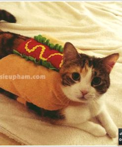 Junie House chuyên cung cấp trang phục cosplay cho chó mèo như áo Adidog có mũ, hiệp sĩ cao bồi, trang phục Superman, Cướp biển, Áo hotdog cho chó mèo... Hotline 0901 18 46 48