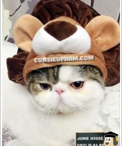 Junie House chuyên cung cấp trang phục cosplay cho chó mèo như áo Adidog có mũ, hiệp sĩ cao bồi, trang phục Superman, Cướp biển, mũ hình thú cho chó mèo... Hotline 0901 18 46 48