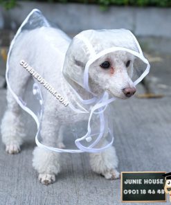 Junie House chuyên cung cấp trang phục cosplay cho chó mèo như áo Adidog có mũ, hiệp sĩ cao bồi, trang phục Superman, Cướp biển, áo mưa cho chó mèo... Hotline 0901 18 46 48