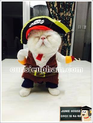 Junie House chuyên cung cấp các loại quần áo phụ kiện cho chó mèo như: đồ tết cho chó mèo, đồ Halloween cho chó mèo, đồ Noel cho chó mèo. Hotline 0901184648