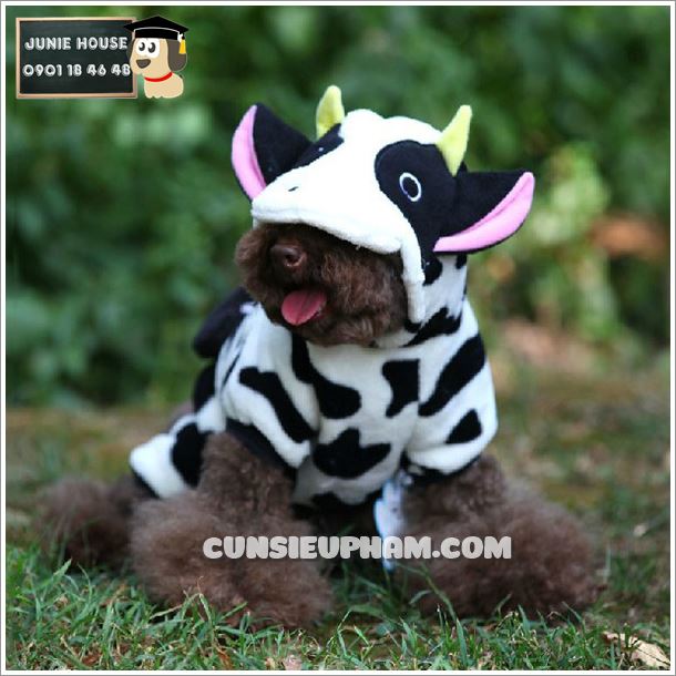 Junie House chuyên cung cấp trang phục cosplay cho chó mèo như áo Adidacog có mũ, hiệp sĩ cao bồi, trang phục Superman, Cướp biển, áo bò sữa cho chó mèo... Hotline 0901 18 46 48