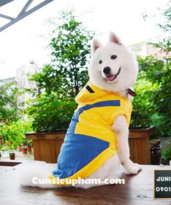 Junie House chuyên cung cấp quần áo cho chó, quần áo chó mèo, phụ kiện chó mèo, đồ noel cho chó mèo, đồ cosplay minions cho chó lớn | 0901.18.46.48