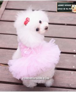 Junie House chuyên cung cấp các sản phẩm cho chó mèo như: Quần áo cho chó, quần áo chó mèo, phụ kiện chó mèo, váy ren hồng cho chó mèo Hotline 0901 18 46 48