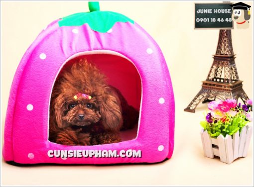 Junie House chuyên cung cấp quần áo cho chó, quần áo chó mèo, phụ kiện cho chó mèo, đồ chơi cho chó mèo, chuồng nệm trái dâu cho chó mèo | 0901.18.46.48