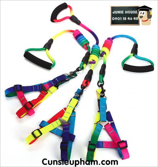 Junie House chuyên cung cấp quần áo, phụ kiện cho thú cưng: Trang phục superman, cướp biển, minions, vòng cổ yếm 7 màu cho chó | 0901.18.46.48