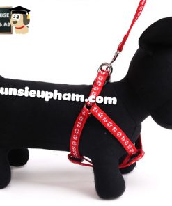 Junie House chuyên cung cấp quần áo, phụ kiện cho thú cưng: Trang phục superman, cướp biển, minions, dây dắt yếm cho chó | 0901.18.46.48