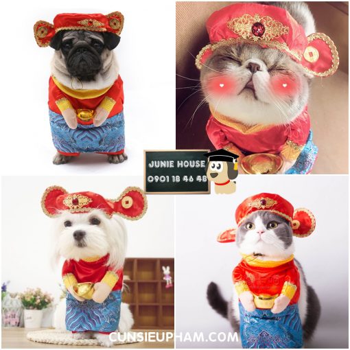 Junie House chuyên cung cấp các loại quần áo phụ kiện cho chó mèo như: đồ tết cho chó mèo, đồ Halloween cho chó mèo, đồ Noel cho chó mèo. quần áo thần tài cho chó mèo Hotline 0901184648