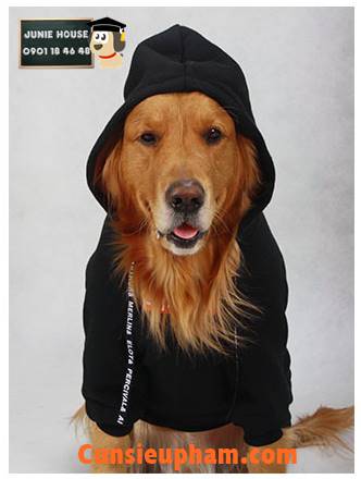 Junie House chuyên cung cấp quần áo cho chó, quần áo chó mèo, áo supreme đen dành cho chó lớn... Hotline 0901 18 46 48