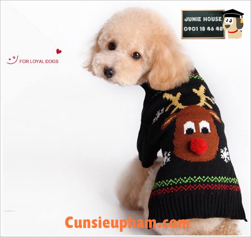 Junie House chuyên cung cấp quần áo cho chó, quần áo chó mèo, áo len noel tuần lộc dành cho boss... Hotline 0901 18 46 48