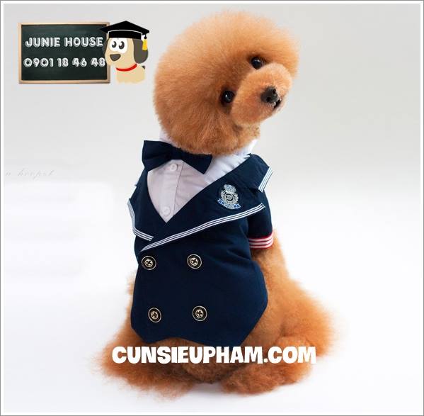 Junie House chuyên cung cấp quần áo cho chó, quần áo chó mèo, đồ chơi cho chó mèo, áo vest chú rể phong cách hoàng gia... Hotline 0901 18 46 48