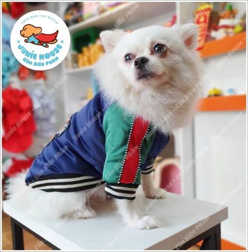 Junie House chuyên cung cấp quần áo, phụ kiện cho thú cưng: Trang phục superman, cướp biển, minions, áo khoác Gucci dành cho chó mèo | 0901.18.46.48