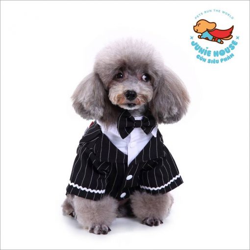 Junie House chuyên cung cấp quần áo, phụ kiện cho thú cưng: Trang phục superman, cướp biển, minions, áo vest chú rể dành cho chó mèo | 0901.18.46.48