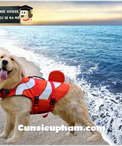Quần áo cho thú cưng, quần áo chó mèo | Junie House ✓ Quần Áo Cho Thú Cưng, Quần Áo Chó Mèo | Junie House ✓